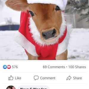 Meet your Posher, Mary ann